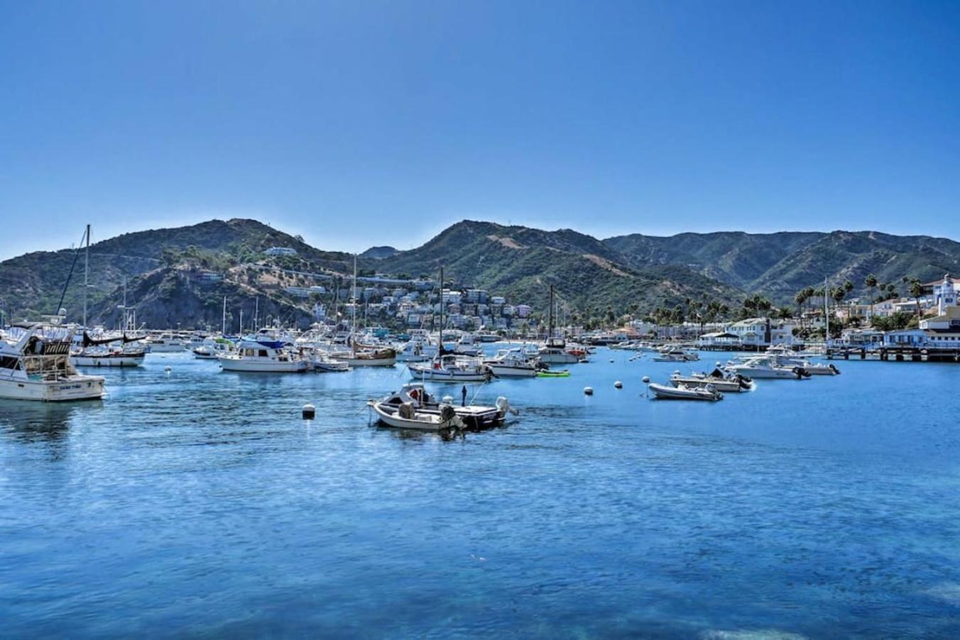 Gorgeous Oceanfront Villa With Panoramic Views Avalon Esterno foto
